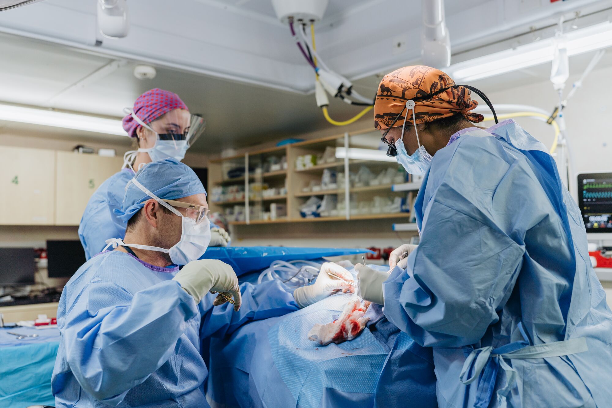 A volunteer surgical team removed the tumor Armella had carried since birth.